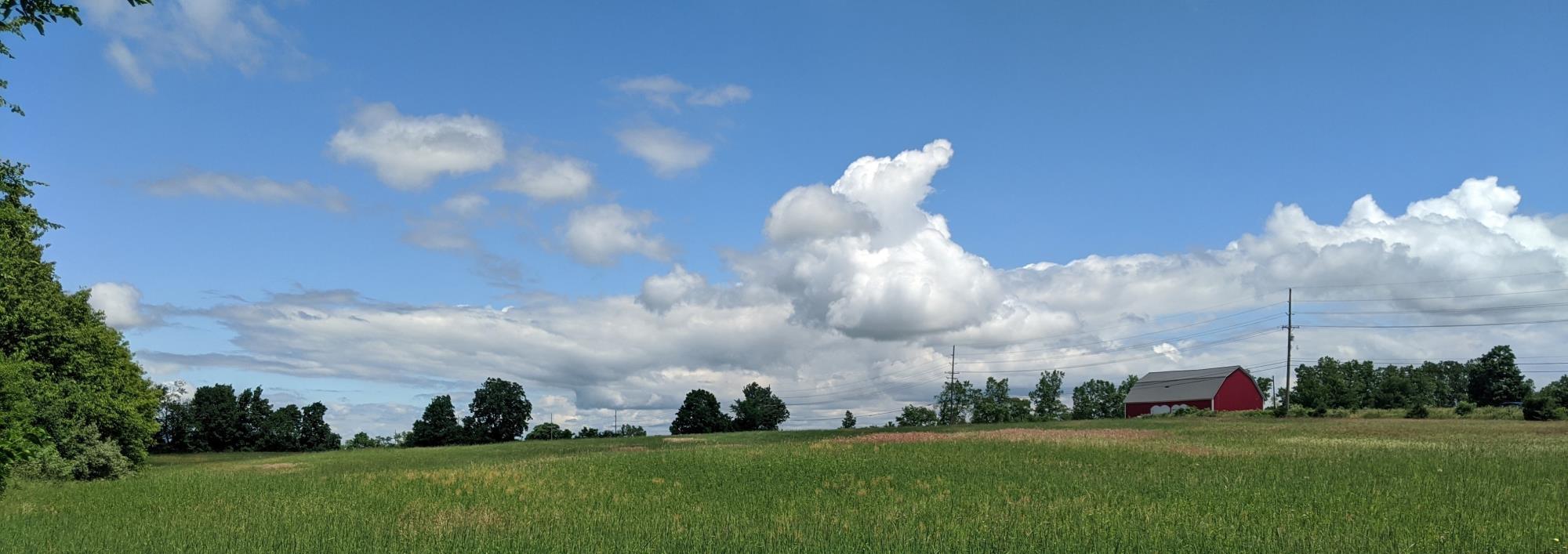 Renz Farm 2024 Scio Township conservation easement